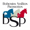 Bohemian Stallion Promotion 2019
